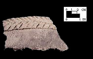 Shepard cord-wrapped dowel impressed rim sherd from the Winslow site 18MO9-SI Cat. #449644 - Courtesy of the Smithsonian Institution, Museum of Natural History, Department of Anthropology.